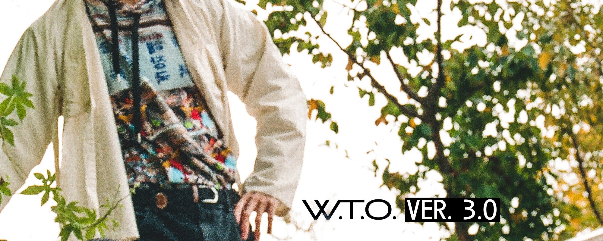 News: W.T.O. vers. 3.0.