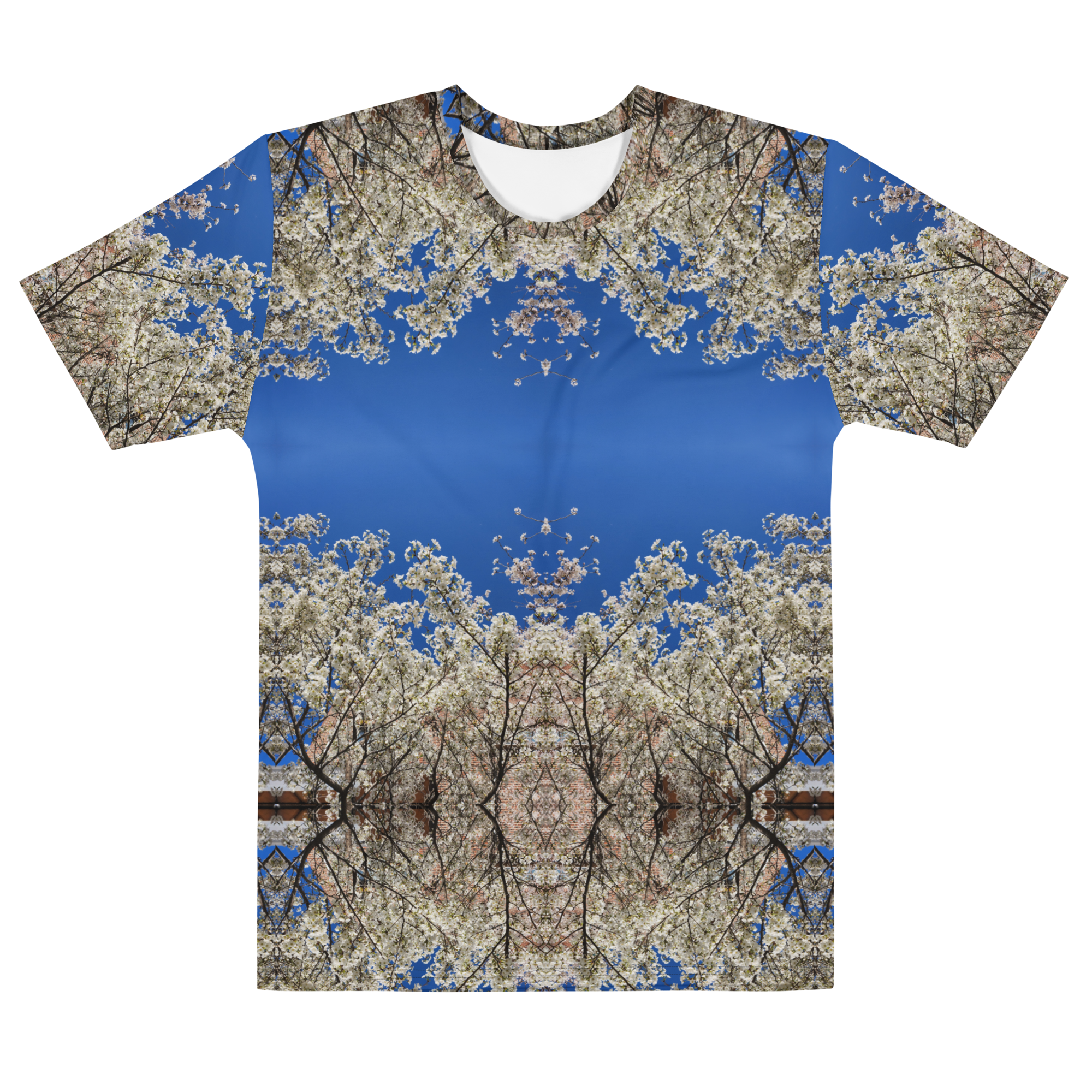 Feast Of The Annunciation. (Tee.)