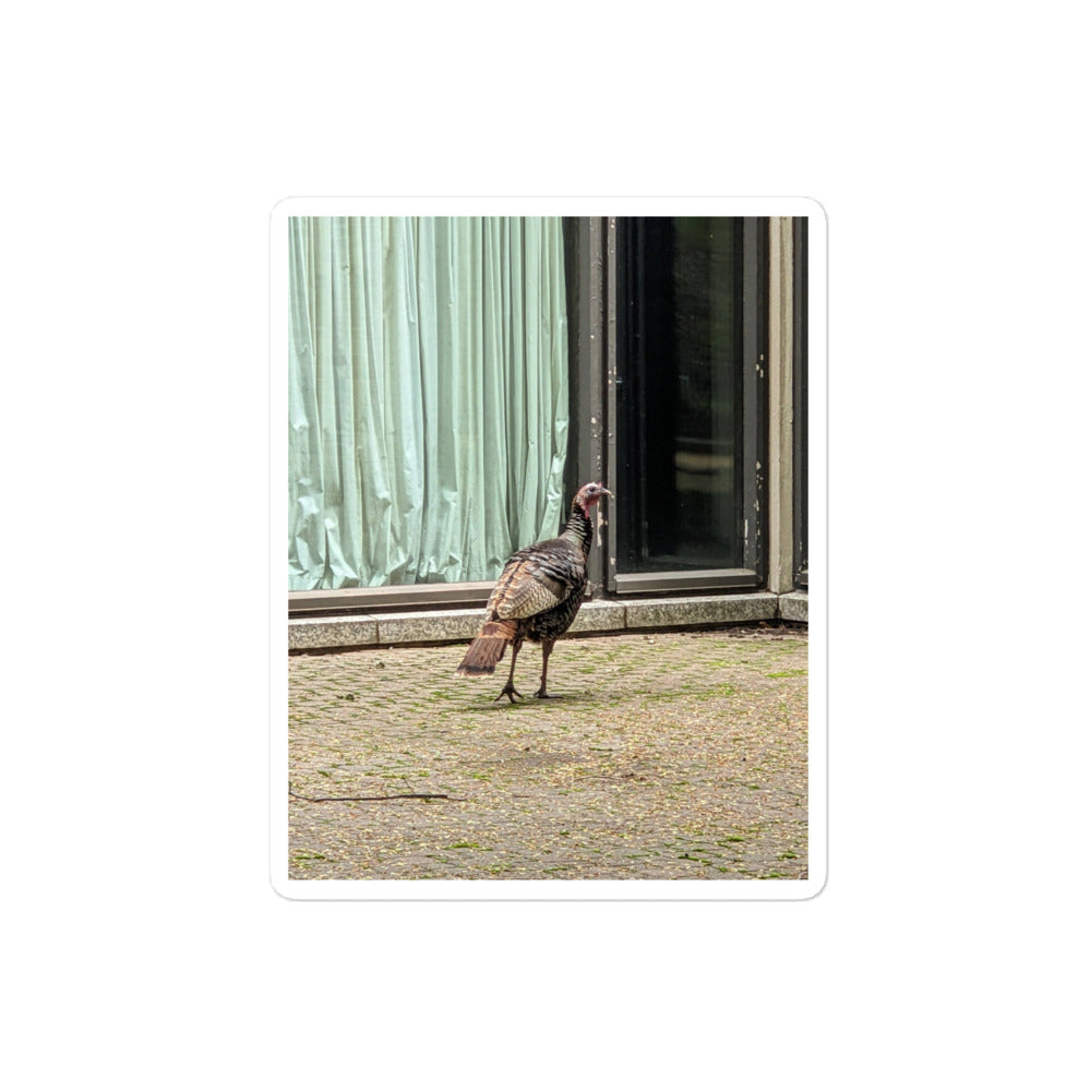 Wild Turkey. (Stickers.)